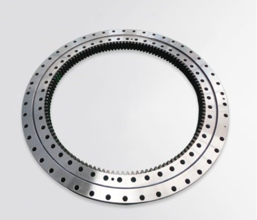 Slewing Bearing Development