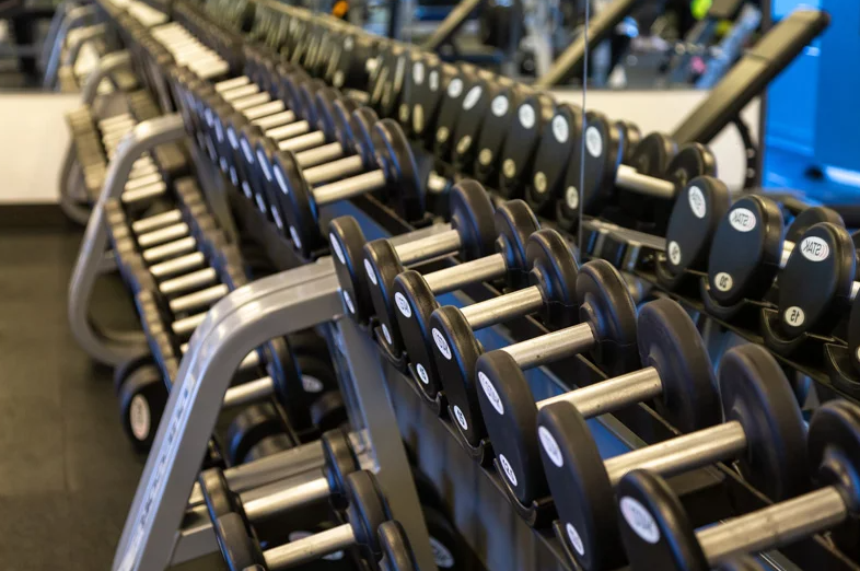 Strength Training Equipment: From Free Weight to Mechanical Equipment