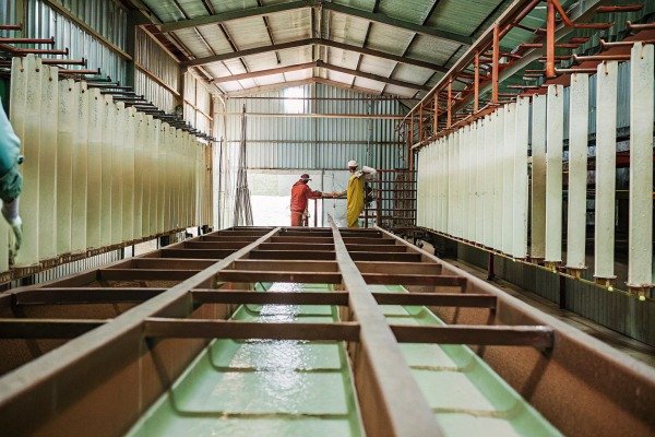 Workers inspecting industrial tanks inside factory (ID#2)